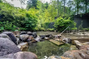 Tsuwabuki no Hana - Image 3