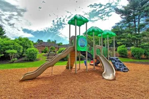 Pine Brook Apartments: Luxurious living in a stunning wooded setting - Image 2