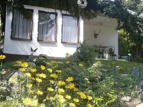 Haus am Wald - Mr. Runggatscher - Cottage sulla foresta - Image 3