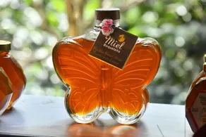 Ecoresort:  We are Panamas leading honey producer and  butterfly exhibit. - Image 4