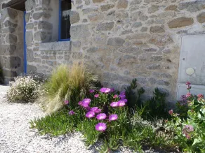Maison de paludier, cadre chaleureux dans un environnement privilégié - Image 4