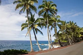 Oliana Cottage - Leilani Pahoa - Allergi Friendly - Image 2