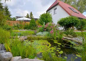 Fewo Malcher - Stralsund - lejlighed med terrasse - Image 3