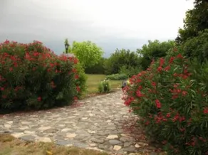 Rochecolombe: Appartamento - ROCHECOLOMBE - Image 4