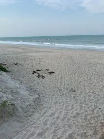 Enjoy our Private Beach Access! - Image 5