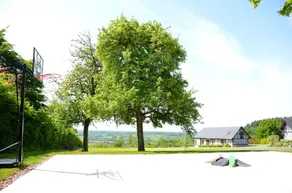 Gamle Norman stald restaureret med panoramaudsigt og stor park - Image 2