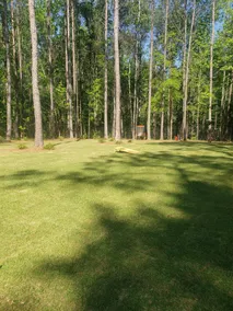The Griinch- Cozy Tiny House 9 Miles to AUBURN AL  & Jordan Hare Stadium - Image 4