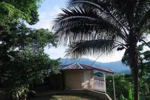 Beautiful Jungle Home In Platanillos Costa Rica - Image 3