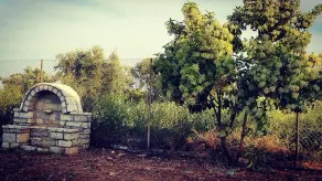 Luxury beach-front Villa - Image 5