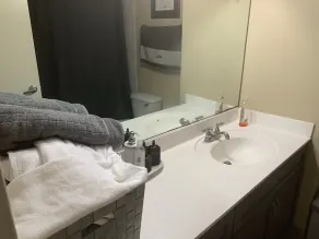 Spacious clean full apartment 20 min from downtown chicago - Image 4