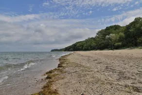 Curr. Wismar, Gro�� Schwansee - Image 3
