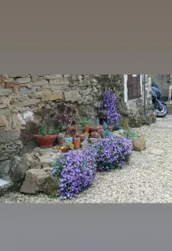 Cozy Cottage Retreat in Berzi - Image 4