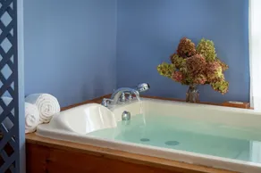 The Presidential Suite on second floor quiet peaceful Driftless Region - Image 2