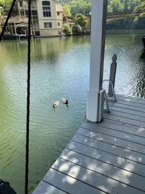 Lake front house in hidden GEM lake lure - Image 2