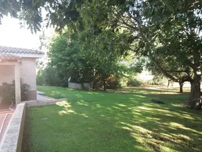 Villa surrounded by greenery - Image 4