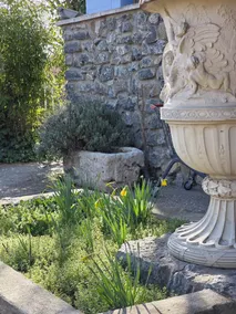 Hotel Las Casitas del Jardín - Image 4