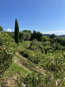 Charming country house in the Provencal countryside among vineyards and olive trees - Image 2