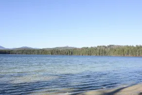 Newly Renovated Rustic Cabin - Image 3