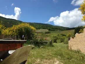 sommerhus: natur og lavendel - Image 5