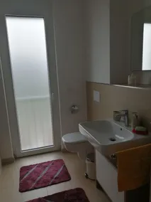 Naturidol near Frankfurt - Image 2