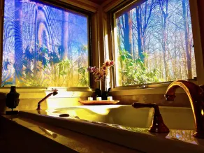 Où le temps fond ... Comté de Chester Hideaway sur 5 acres boisés, la faune! - Image 2
