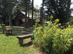 <br><br>Morrow Mountain State Park View<br>Uwharrie Camping!<br>Service complet de camping - Image 4