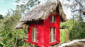 Romantic Cottages in Jamaican Hills w/ hiking trails and Fruit trees on property - Image 4