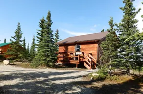 Denali Wildlife Grizzly Cabin Luxury avec une touche de rustique - Image 4