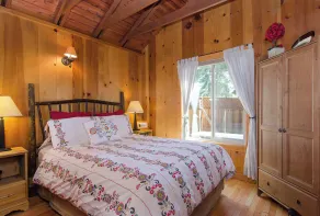Cabin Fever - 1 bed, 1 bath * fireplace - Image 4