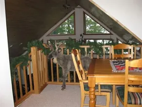 Lyxigt Lakefront-hem vid privat sjö i norra Wisconsin - Image 4