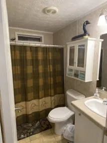 Great location just across the street from Reelfoot Lake close to boat ramps - Image 2