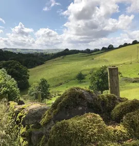 Stunning 3 bed cottage with exceptional views over fields and the Lakeland fells - Image 5