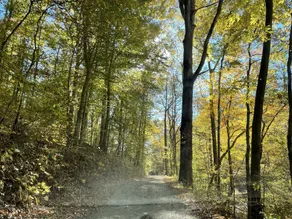 Little Off Grid Cabin! Close to Downtown Leipers Fork! - Image 5