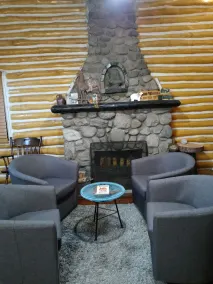 Original Chestnut Log Cabin In A Lake Community - Image 3