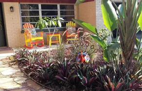 Nous avons les meilleurs cafés et pâtisseries - près de USF, Moffitt, Hard Rock, Busch Gardens - Image 5