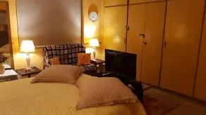 Oriental Room in Gulberg (Center of Lahore) - Image 4