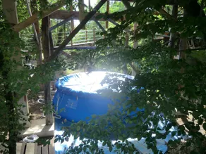 Cabin perched in the trees with jacuzzi and swimming pool - Image 5