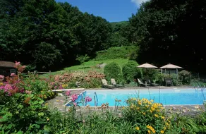 Exceptional Property, Saline Pool, Waterfall, Views - Image 3