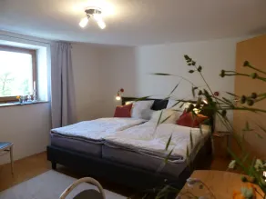 Stadtnahe Ferienwohnung für Naturliebhaber mit Blick Über die Donau - Image 5