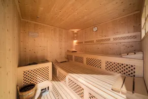 Vacation Home \"Maria Steinröserl\" with Mountain View, Garden, Wi-Fi & Sauna - Image 5