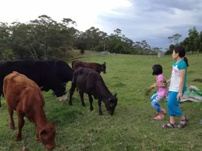 Bellview - befindet sich in Maleny - Image 3