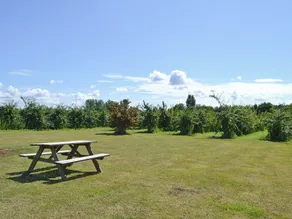 Hawthorne Cottage - PY8 - Image 4