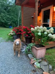 Chalet w/ Lake & MT views, Hot Tub, Pet friendly,  <10mins to Lake & Golf - Image 5