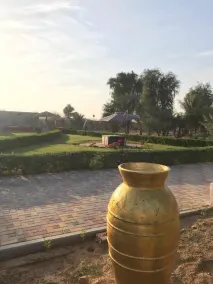 Beautiful Farm in dubai - Image 3