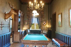 Fairytale Chateau with pool surrounded by vineyard and parc - Image 4