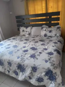 Unity Villa Near Montego Bay and Beaches free WiFi 2bedrooms - Image 4