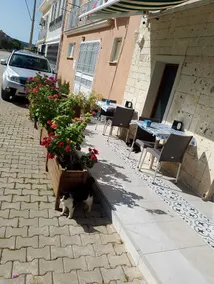 Mavi Liman Otel - Image 2