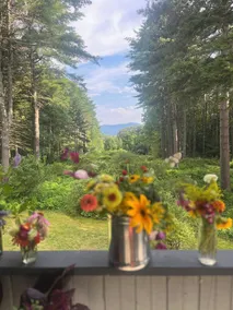 Retreat or Reunion Home with Grand Porch and Views of Mountain and Lake - Image 5