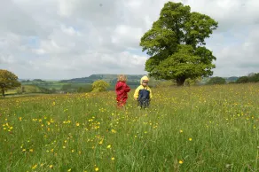 Orchard Barn nr Honiton with 200 acres of parkland & ancient woodland - Image 3