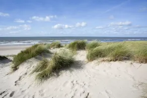 Prachtige Villa de Strandwielen, 15 Minuten vom Strand entfernt! - Image 5